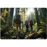 Trekkinga nūjas NS-380 Neo-Sport – produkta galerijas skats, 8. pozīcija