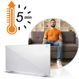 Grzejnik na podczerwień promiennik podczerwieni 1000 W Berdsen BD-992 pilot WiFi aplikacja