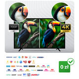 4K un 720p attēla salīdzinājums televizorā ar Berdsen antenas zīmolu