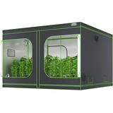 Grow tent 10x10, 120'' x 120'' x 80'', 600D Mylar hidroponikas audzēšanas telts ar novērošanas logu, instrumentu somu